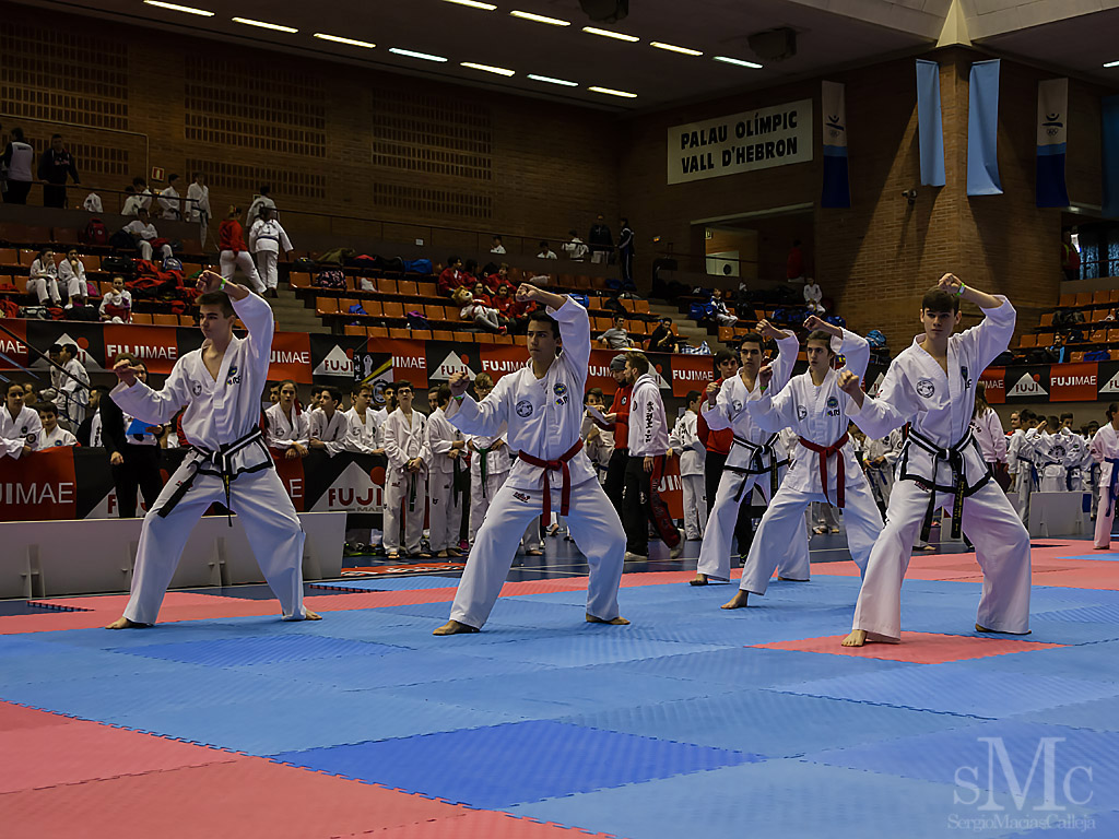 OPEN BARCELONA FUJI MAE CUP 2017_DSC8444_0055.JPG